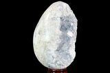 Crystal Filled Celestine (Celestite) Egg Geode #88276-2